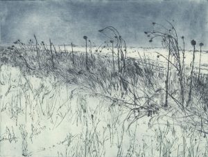 Wintersonnenblumen Groß